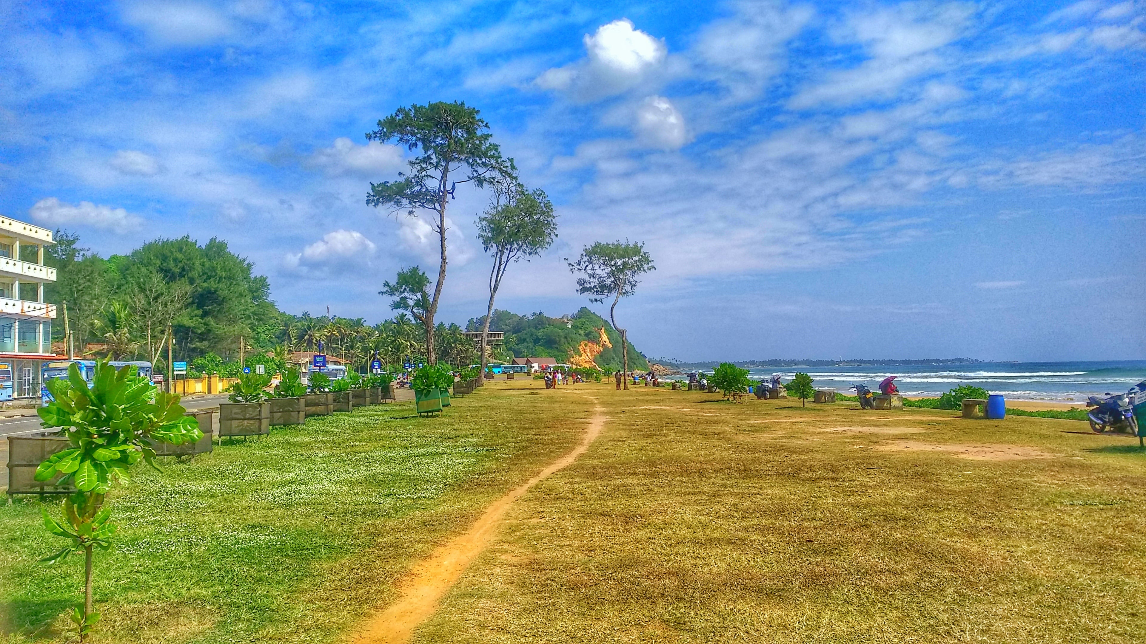 Sri Lanka Tourist